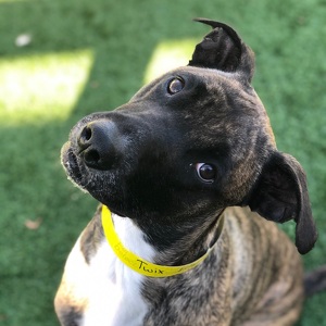 Fundraising Page: Laurel Edge